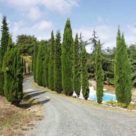 Sassi Bianchi Guest House Sensano Bagian luar foto