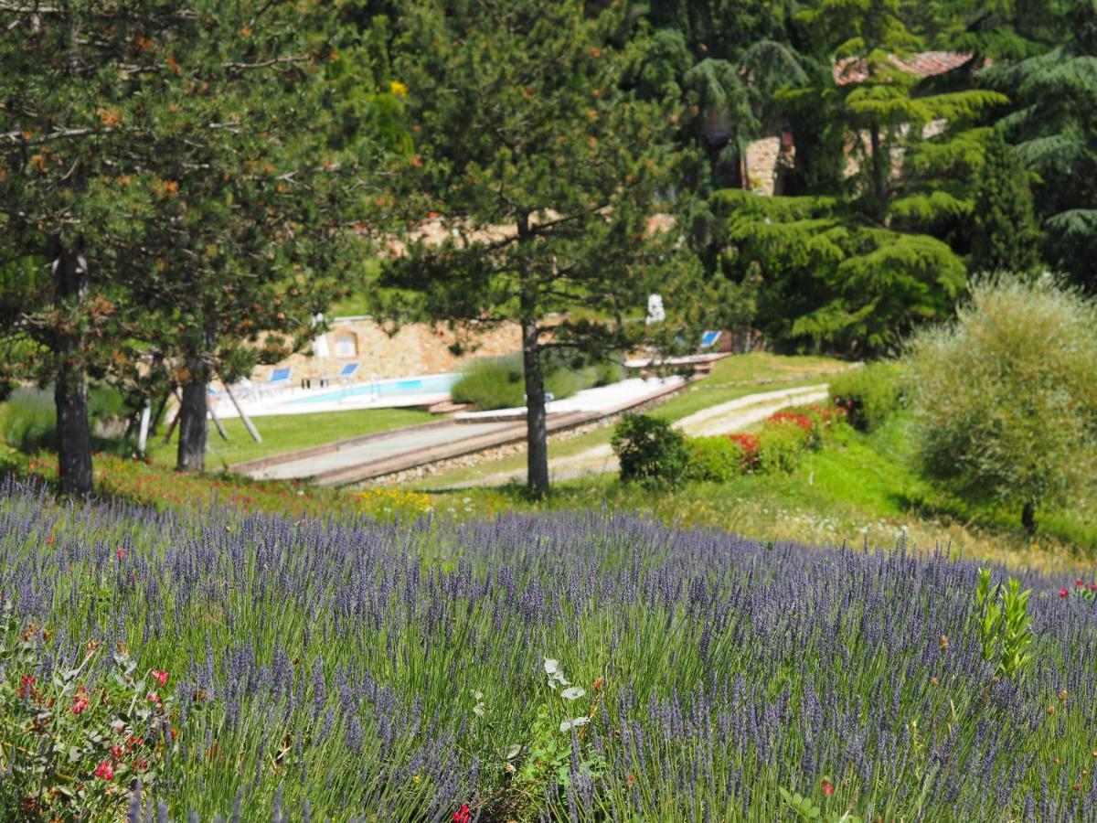 Sassi Bianchi Guest House Sensano Bagian luar foto